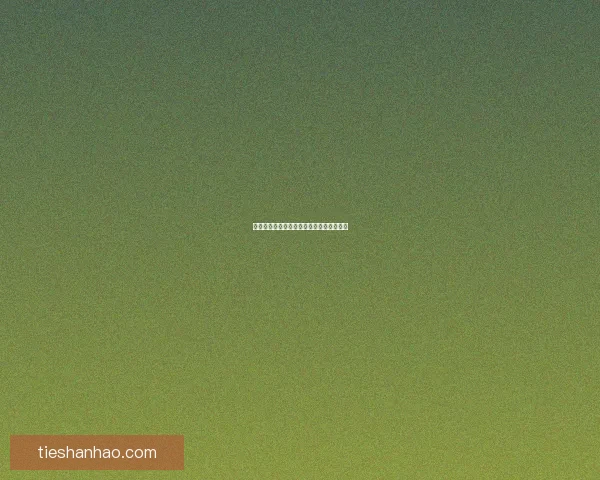 双持大剑横扫乱舞,战斗之王者的极致狂飙 双持大剑横扫乱舞,战斗之王者的极致狂飙